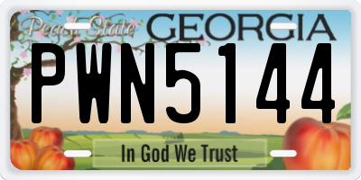 GA license plate PWN5144