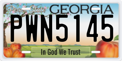 GA license plate PWN5145