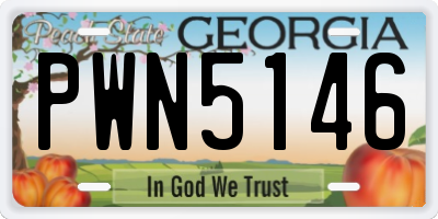 GA license plate PWN5146