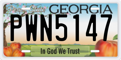 GA license plate PWN5147