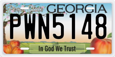 GA license plate PWN5148