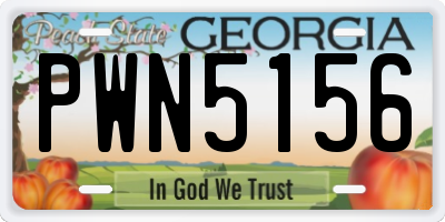 GA license plate PWN5156