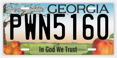 GA license plate PWN5160