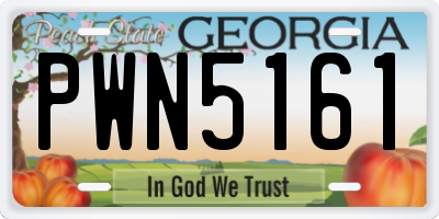 GA license plate PWN5161