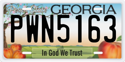 GA license plate PWN5163