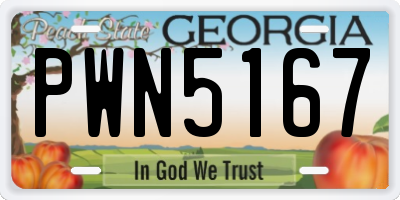 GA license plate PWN5167