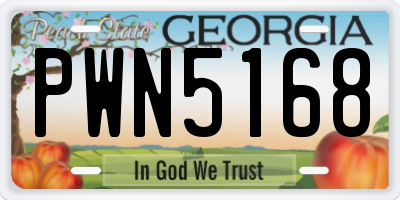 GA license plate PWN5168