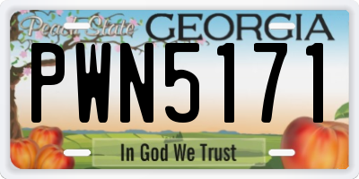 GA license plate PWN5171