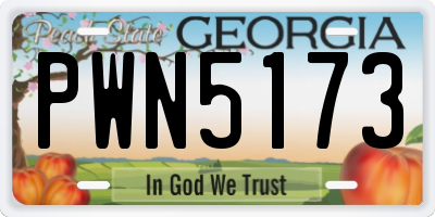 GA license plate PWN5173