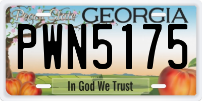 GA license plate PWN5175