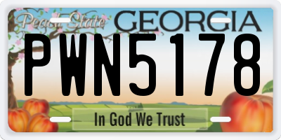 GA license plate PWN5178