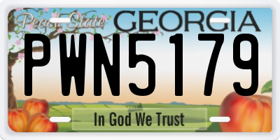 GA license plate PWN5179
