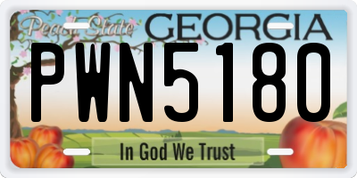 GA license plate PWN5180