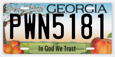 GA license plate PWN5181