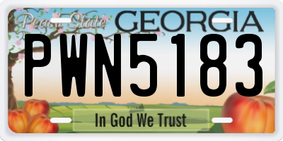 GA license plate PWN5183