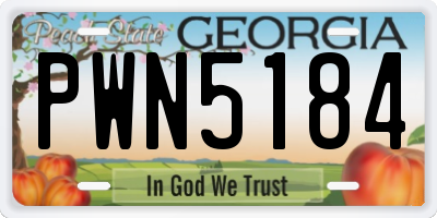 GA license plate PWN5184