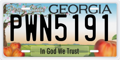 GA license plate PWN5191