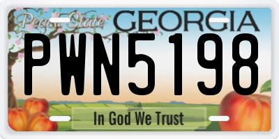 GA license plate PWN5198