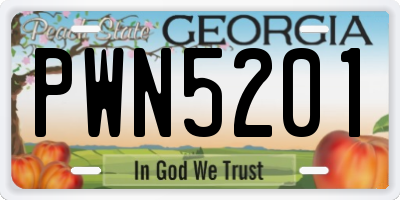 GA license plate PWN5201
