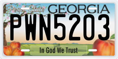 GA license plate PWN5203