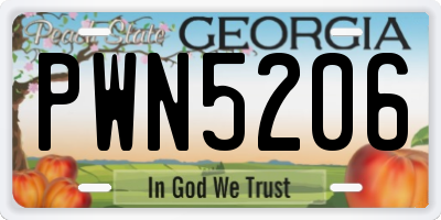 GA license plate PWN5206