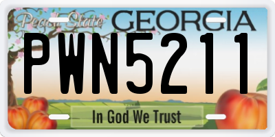 GA license plate PWN5211