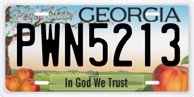 GA license plate PWN5213