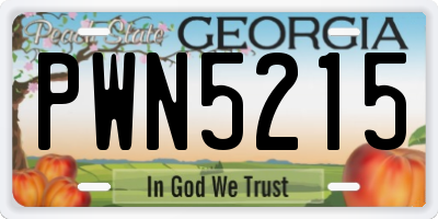 GA license plate PWN5215