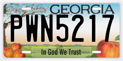 GA license plate PWN5217