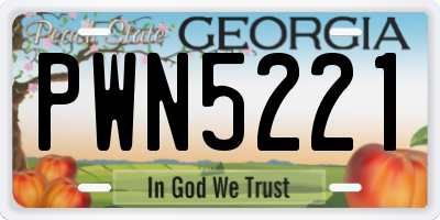 GA license plate PWN5221