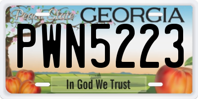 GA license plate PWN5223