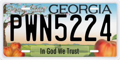 GA license plate PWN5224