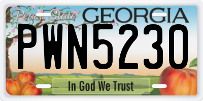 GA license plate PWN5230