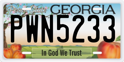 GA license plate PWN5233