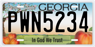GA license plate PWN5234