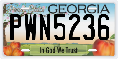 GA license plate PWN5236