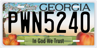 GA license plate PWN5240