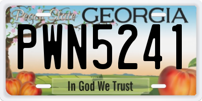 GA license plate PWN5241