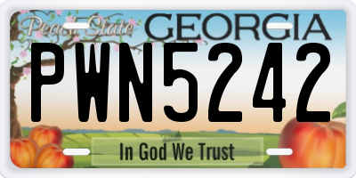 GA license plate PWN5242