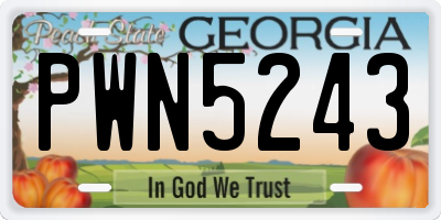 GA license plate PWN5243