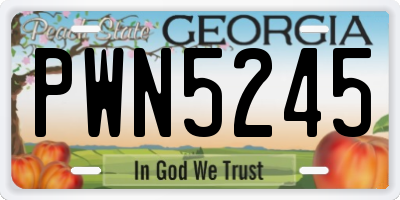 GA license plate PWN5245