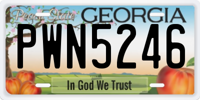 GA license plate PWN5246