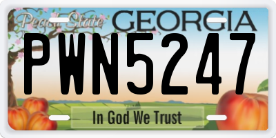 GA license plate PWN5247