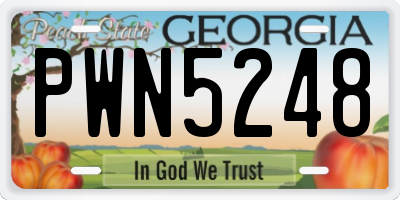 GA license plate PWN5248