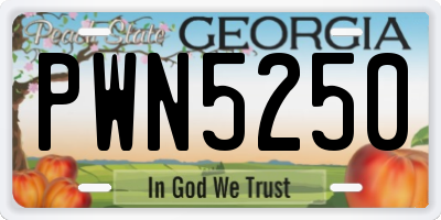 GA license plate PWN5250