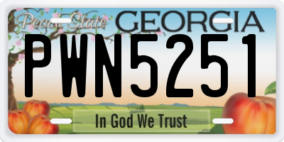 GA license plate PWN5251