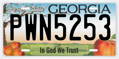 GA license plate PWN5253