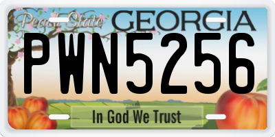 GA license plate PWN5256