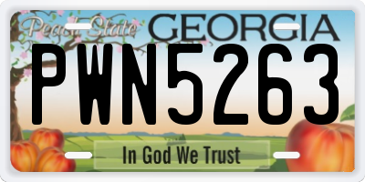 GA license plate PWN5263