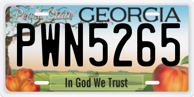 GA license plate PWN5265